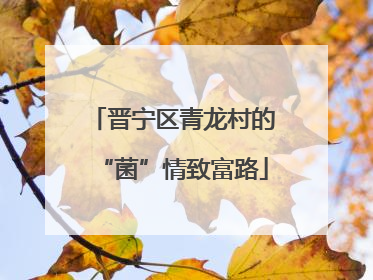 晋宁区青龙村的“菌”情致富路